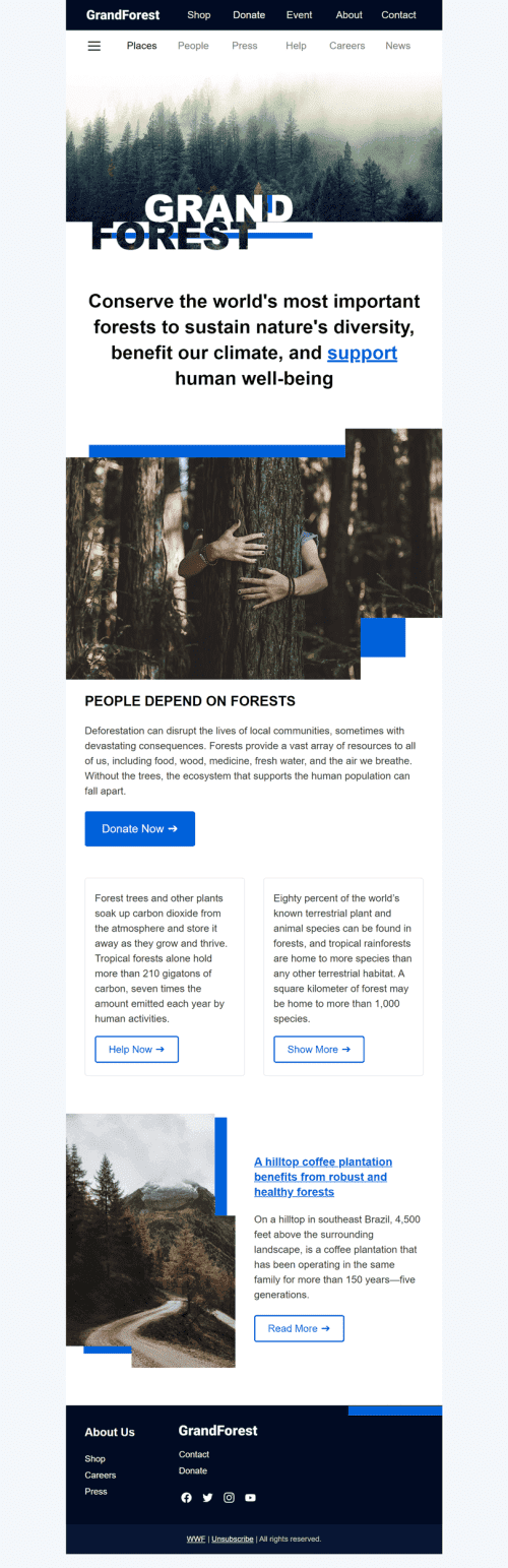 Modelo de E-mail de «Grand Forest» de Promoção para a indústria de Sem fins lucrativos e caridade Visualização de dispositivo móvel