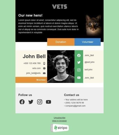 Promo Email Template «Our new hero» for Nonprofit industry desktop view
