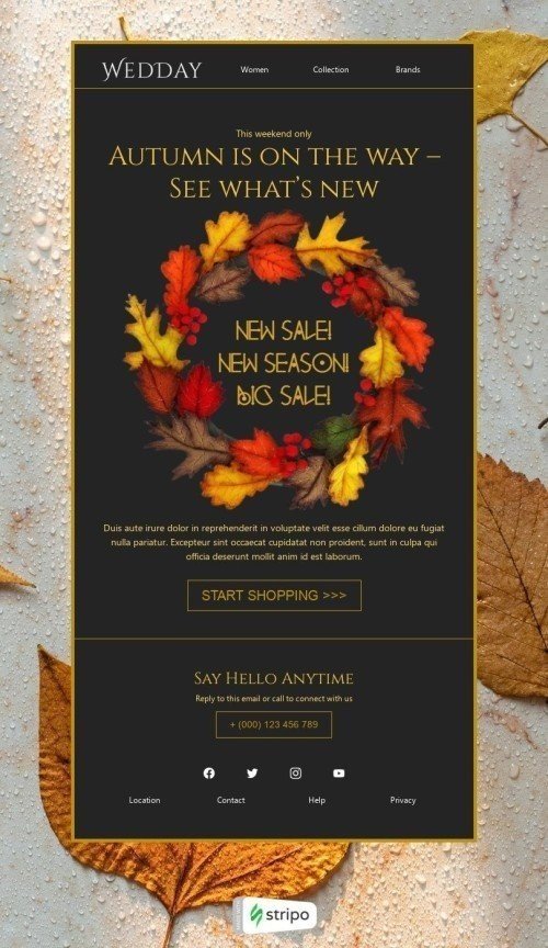 Erster Herbsttag E-Mail-Vorlage «Der Herbst steht vor der Tür» für Mode-Branche Ansicht auf Mobilgeräten