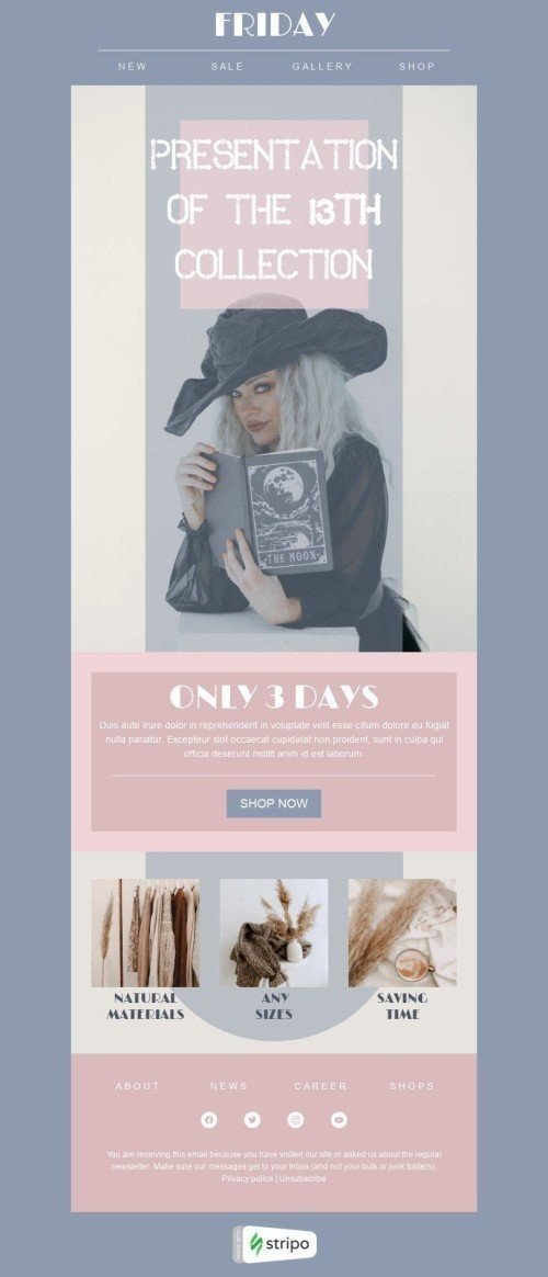 Friday the 13th Email Template «13th Collection» for Fashion industry desktop view